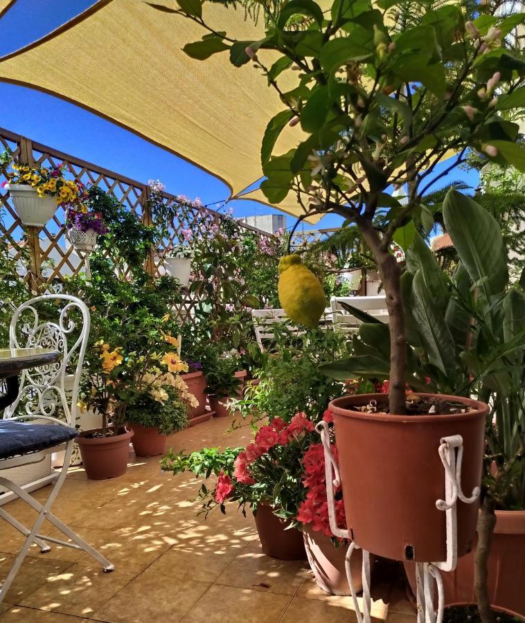 Alghero Roof Garden Exterior photo
